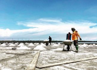 THAÏLANDE – SOCIÉTÉ : Le sodium dans les aliments sera bientôt taxé Samut Sakhon sel