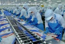 Usine au Vietnam économie