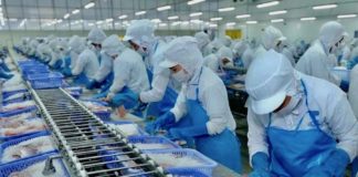 Usine au Vietnam économie
