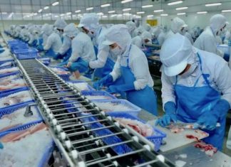 Usine au Vietnam économie