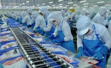 Usine au Vietnam économie