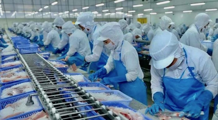 Usine au Vietnam économie