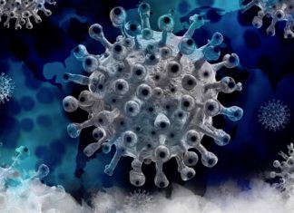 THAÏLANDE – COVID : Prayut insiste sur le fait qu’il n’y aura pas de confinement dans tout le pays pour arrêter Omicron Omicron virus