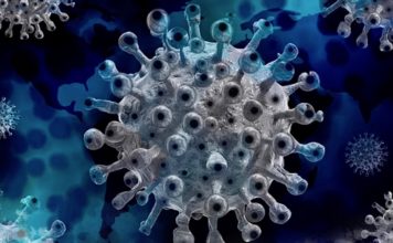 Omicron virus