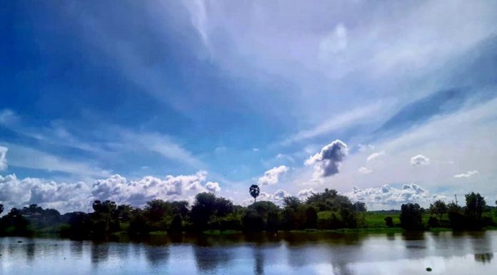 CAMBODGE – SOCIÉTÉ : La forêt inondée restituée à la province de Kompong Chhnang Kampong Chhnang forêt innondée