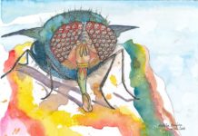 SINGAPOUR – FRANCE : « Une souris en exil », derniers jours pour l’exposition singapourienne de Laetitia Baufine-Ducrocq à La Celle-Saint-Cloud exposition Laetitia Baufine-Ducrocq