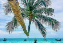 Phuket Thaïlande
