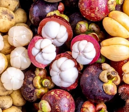 CAMBODGE – ÉCONOMIE : Le ministère de l’agriculture encourage l’exportation de produits agricoles vers la Chine fruits Thaïlande