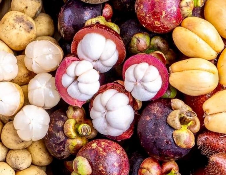 THAÏLANDE – ÉCONOMIE : Comment exporter des fruits thaïlandais vers la Chine verrouillée par le Covid en 2022 ?