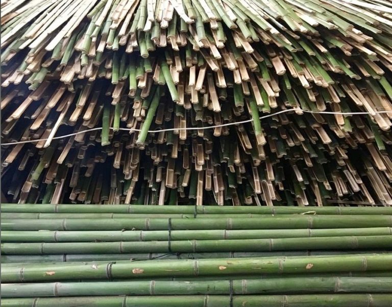 THAÏLANDE – SOCIÉTÉ : Le bambou, or vert de la Thaïlande selon France Info