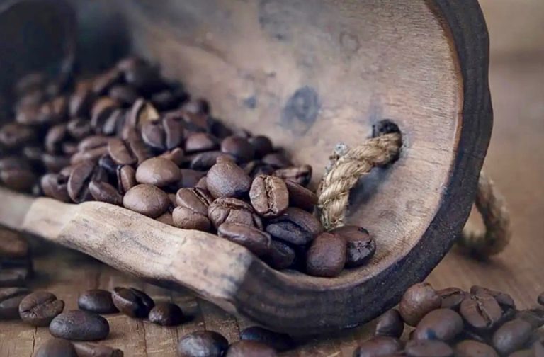 LAOS – CAFÉ : Le Laos connaîtra une baisse des exportations de café cette année