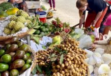 CAMBODGE – AGRICULTURE : Le Vietnam, premier client des fruits et légumes cambodgiens Marché Vietnam fruits