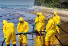 THAÏLANDE – POLLUTION : La plage de Mae Ramphueng souillée par la marée noire marée noire Thaïlande Rayong