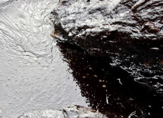 Marée noire Rayong Thaïlande