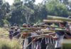 Birmanie armée PDF