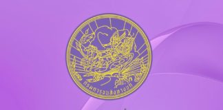 application permis conduire thaïlandais