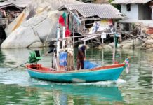 THAÏLANDE – PÊCHE : Plus de pêche commerciale dans le golfe de Thaïlande du 15 février à la mi-juin Bâteau de pêche Thaïlande