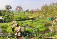 THAÏLANDE – ZOO : Le mini zoo de Thanyaburi, à Pathum Thani, est prêt à ouvrir ses portes le 13 mars Mini zoo Thanyaburi