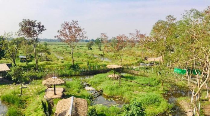 Mini zoo Thanyaburi