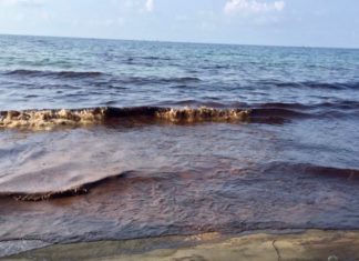 Rayong marée noire pollution