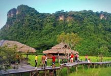 PATTHALUNG – TOURISME : Un pont en bois s’écroule, quatre touristes blessés Phatthalung Thaïlande