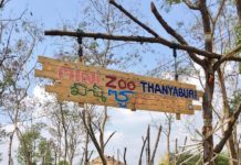 THAÏLANDE – TOURISME : Le plus récent zoo de Thaïlande ouvre ses portes au nord de Bangkok zoo de Thanyaburi