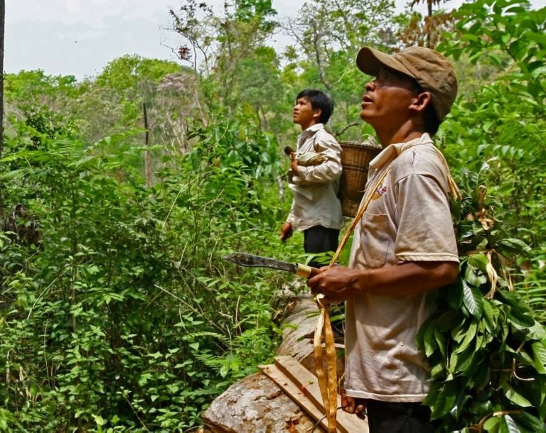 CAMBODGE – ÉCONOMIE : Tableau de bord de l’économie cambodgienne au 8 avril