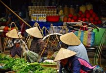 Vietnam fruits