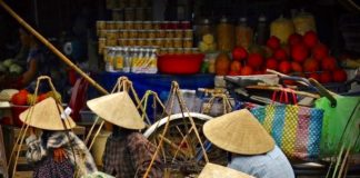Vietnam fruits