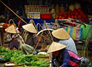 Vietnam fruits