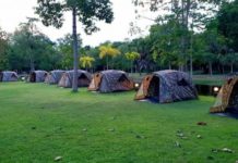 THAÏLANDE – TOURISME : Le parc forestier de Cha-am ouvre un nouveau camping camping Cha-am