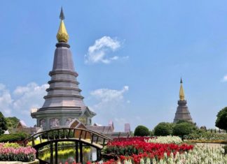 doiinthanon Chiang Mai