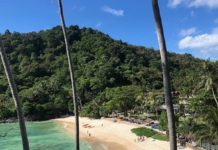 PHUKET – TOURISME : Le restaurant «Little Tiger», vilipendé pour ses prix plus chers pour les étrangers litlle Tiger restaurant Phuket