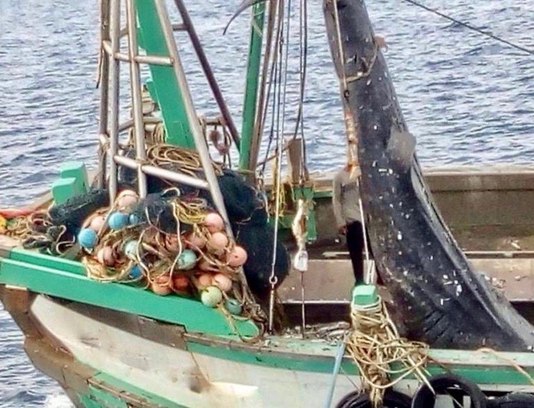THAÏLANDE – SOCIÉTÉ : Démantèlement d’une filière de traite d’être humains dans le secteur de la pêche