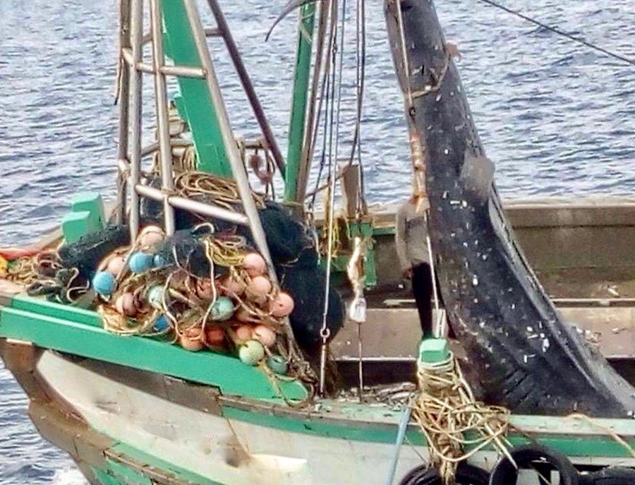 bateau pêche thaïlande