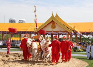 cérémonie du labour royal