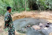 THAÏLANDE – SOCIÉTÉ : Des éléphants retrouvés noyés dans un étang à Kanchanaburi éléphant Huai Kayeng Thaïlande