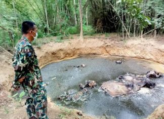 éléphant Huai Kayeng Thaïlande