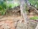 Temple cambodge sans nom