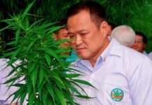 THAÏLANDE – SOCIÉTÉ : Amateurs de cannabis…médical, la Thaïlande vous ouvre (presque) les bras Anutin Charnvirakul Thaïlande