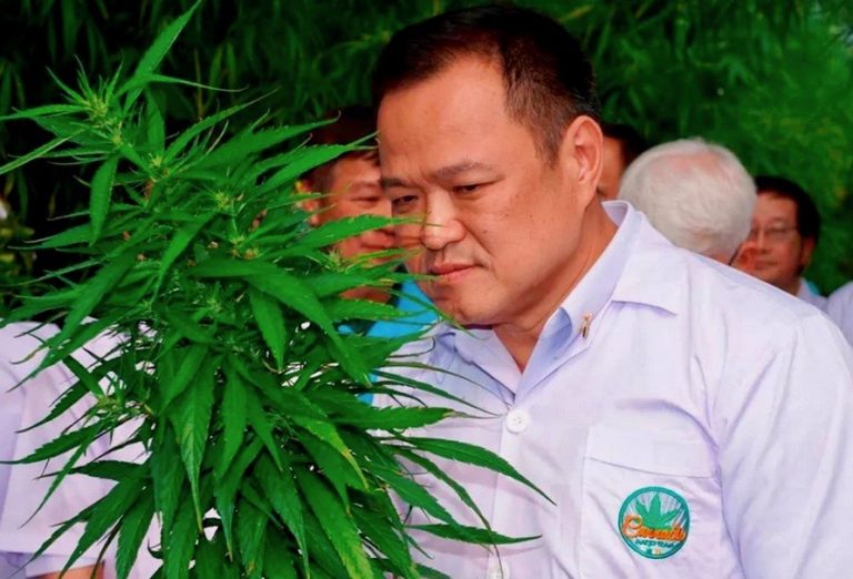 THAÏLANDE – SOCIÉTÉ : Anutin sur le cannabis : « Reculer n’est pas une option »