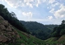 THAÏLANDE – TOURISME : Un touriste sauvé en pleine jungle à Nakhon Nayok Chong Lom Thaïlande