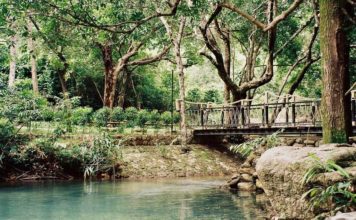 THAÏLANDE – TOURISME : Le tourisme à Ranong est florissant depuis la levée des restrictions le 1er mai. Ranong