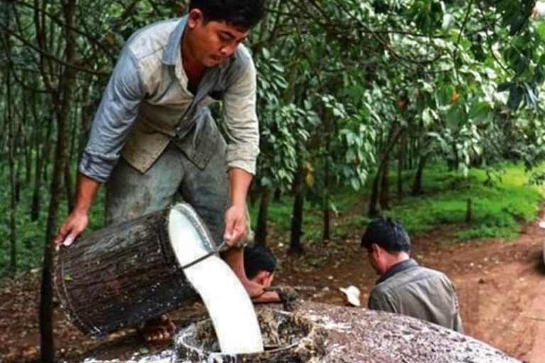 CAMBODGE EXPRESS – ACTUALITÉS : Que retenir de l’actualité au Cambodge du 17 au 23 octobre ?