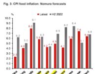 ASEAN – ÉCONOMIE : Tableau de bord de l’économie de l’ASEAN au 28 juin indice des prix asean previsions Nomura