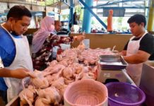 MALAISIE – ÉCONOMIE : Le poulet Malaisien va pouvoir de nouveau franchir les frontières Poulet Malaisie