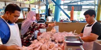 Poulet Malaisie