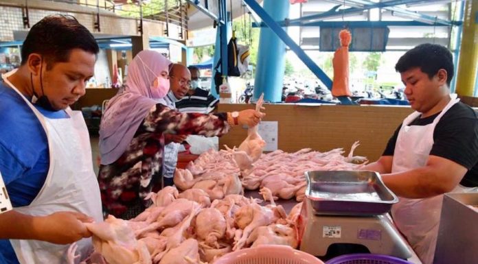 MALAISIE – ÉCONOMIE : Le poulet Malaisien va pouvoir de nouveau franchir les frontières Poulet Malaisie