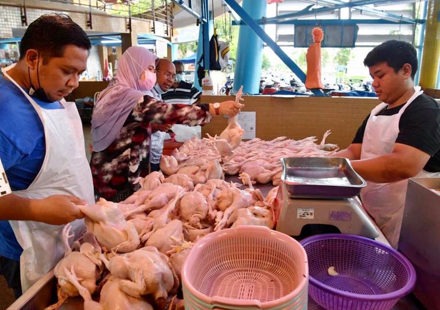 Poulet Malaisie