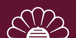Parti libéral démocrate japon